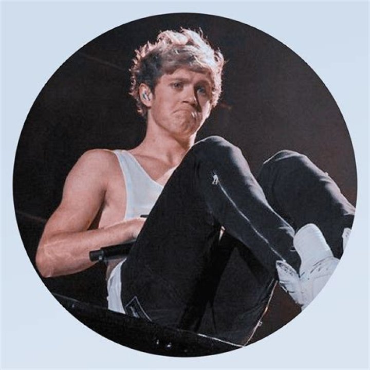 Popular Idol Niall Horan from One Direction: A Profile